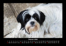 Tierkalender Fotokalender 2026 - 2
