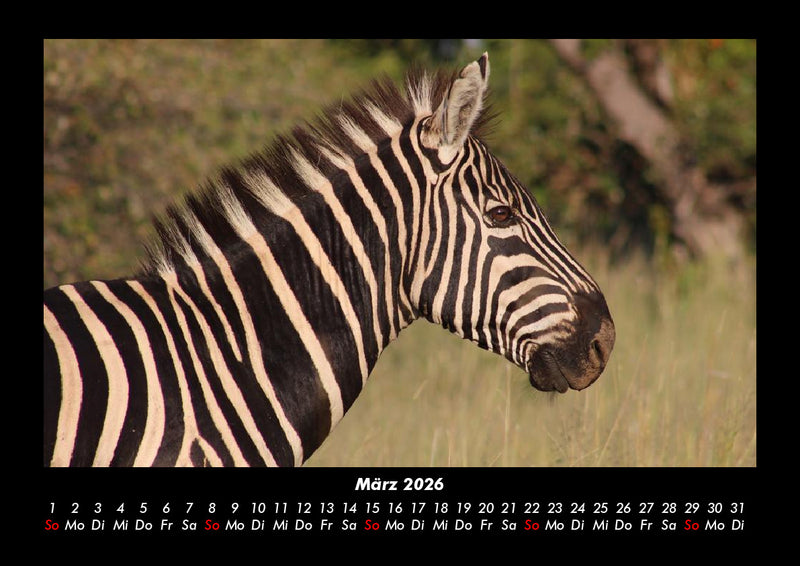 Tierkalender Fotokalender 2026 - 3
