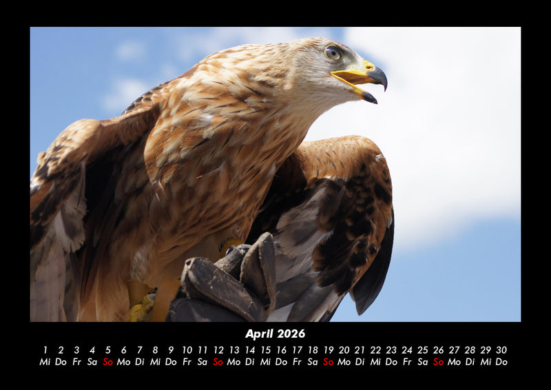Tierkalender Fotokalender 2026 - 4