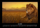Tierkalender Fotokalender 2026 - 6