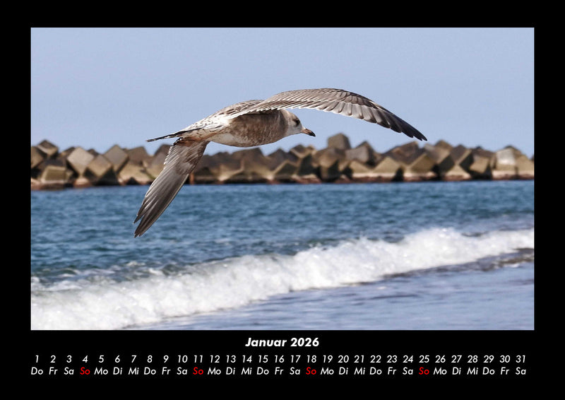 Meereslandschaft Fotokalender 2026 - 1