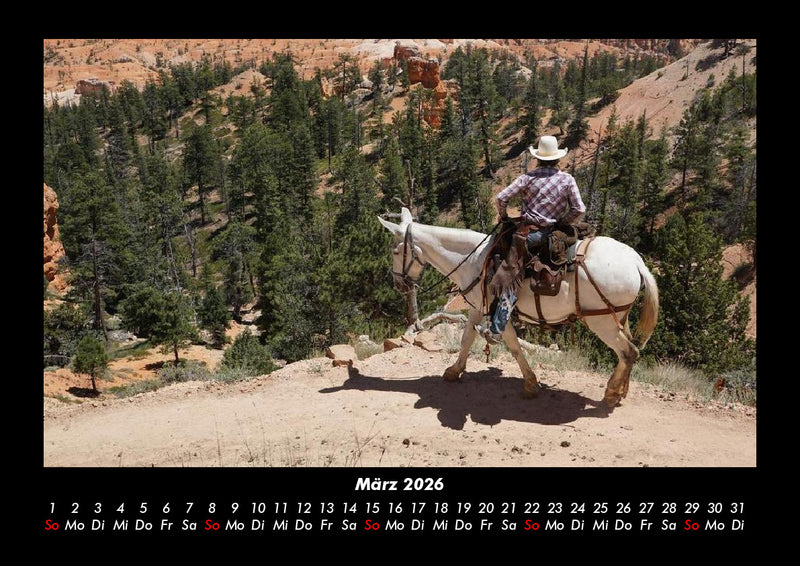 Pferde Kalender Fotokalender 2026 - 3