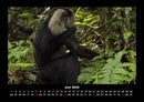 Affen Fotokalender 2026 - 6