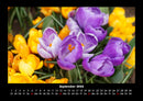 Blumenzauber Fotokalender 2026 - 9