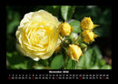 Blumenzauber Fotokalender 2026 - 11