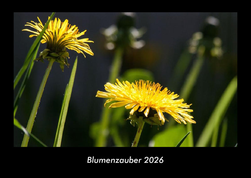 Blumenzauber Fotokalender 2026 - Hauptbild