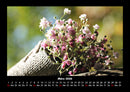 Blumenzauber Fotokalender 2026 - 3