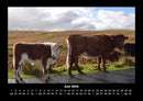 Kuhkalender Fotokalender 2026 - 6