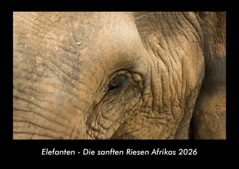 Elefanten - Die sanften Riesen Afrikas Fotokalender 2026 - Hauptbild