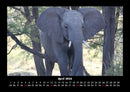 Elefanten - Die sanften Riesen Afrikas Fotokalender 2026 - 4