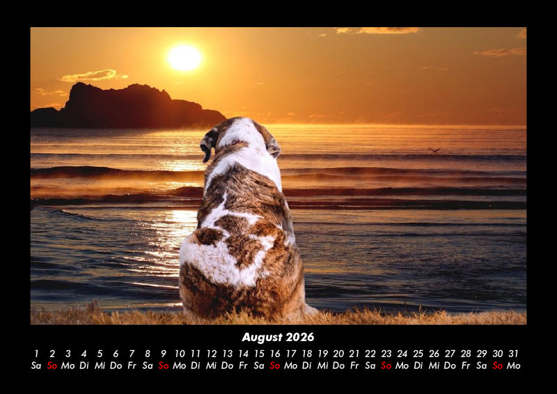 Sonnenuntergänge Fotokalender 2026 - 8