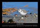 Nordsee Fotokalender 2026 - 12