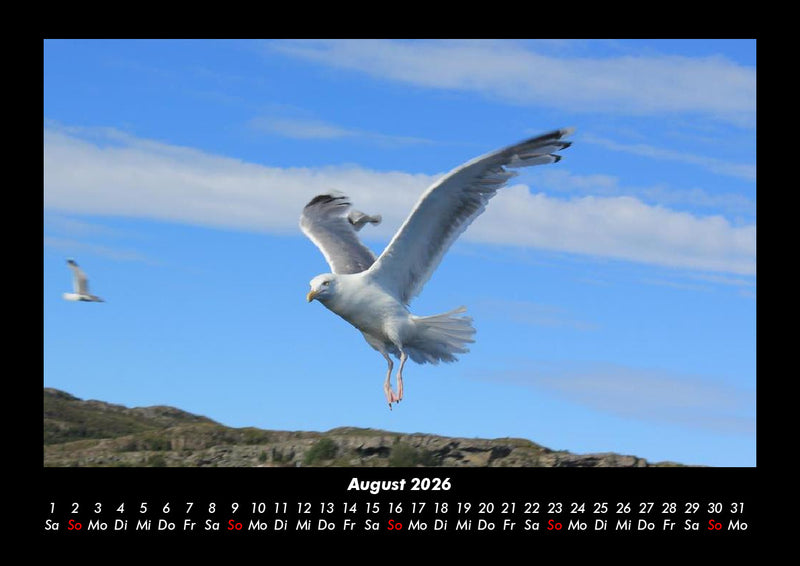 Nordsee Fotokalender 2026 - 8