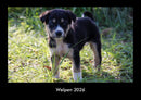 Welpen Fotokalender 2026 - Hauptbild