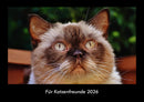 Für Katzenfreunde Fotokalender 2026 - Hauptbild