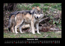 Tierkalender Fotokalender 2026 - 9