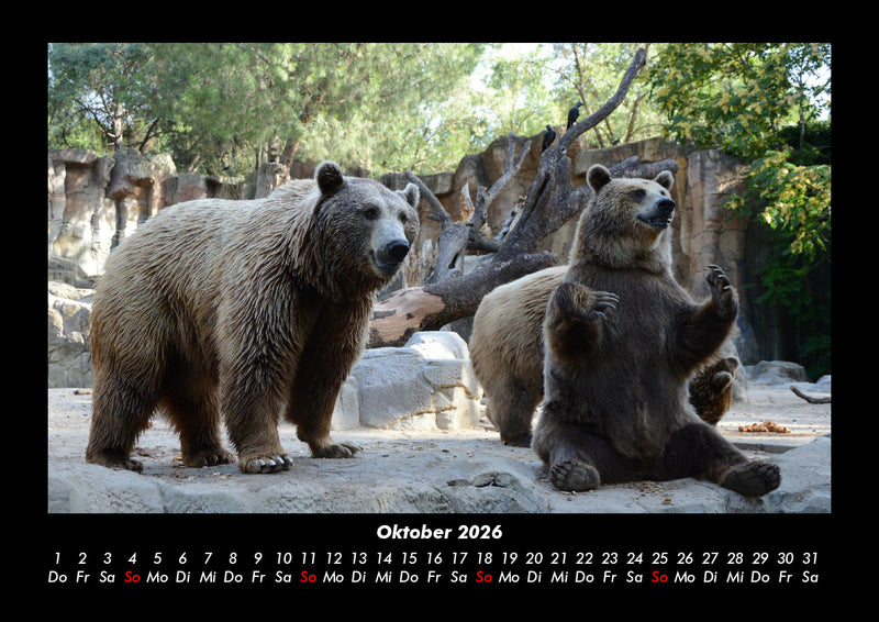 Tierkalender Fotokalender 2026 - 10