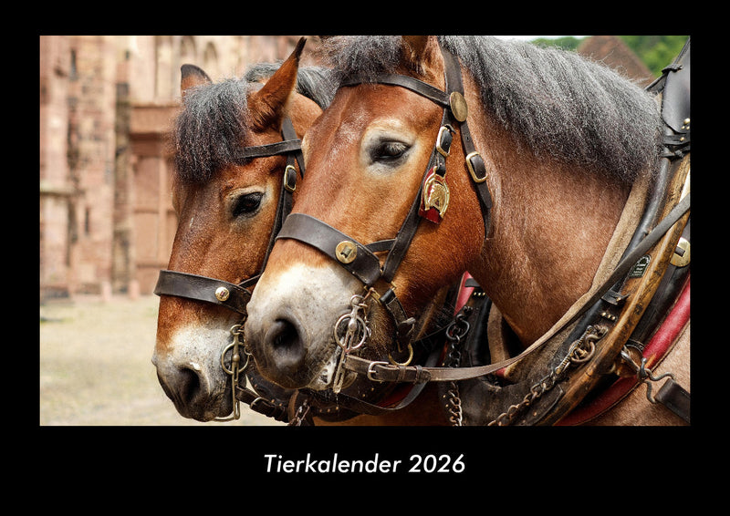 Tierkalender Fotokalender 2026 - Hauptbild