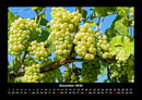 Obstkalender Fotokalender 2026 - 12
