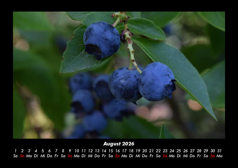 Obstkalender Fotokalender 2026 - 8
