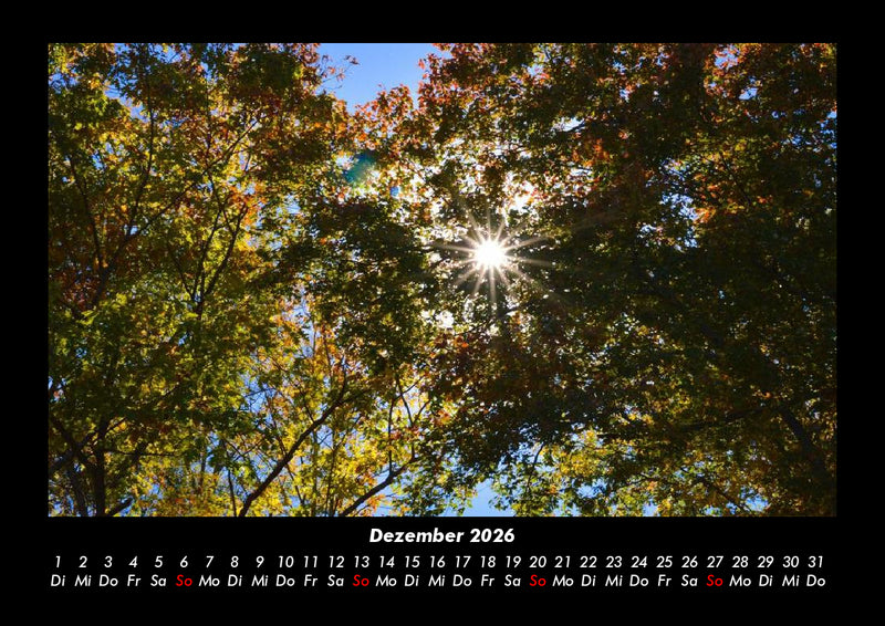 Landschaftskalender Fotokalender 2026 - 12