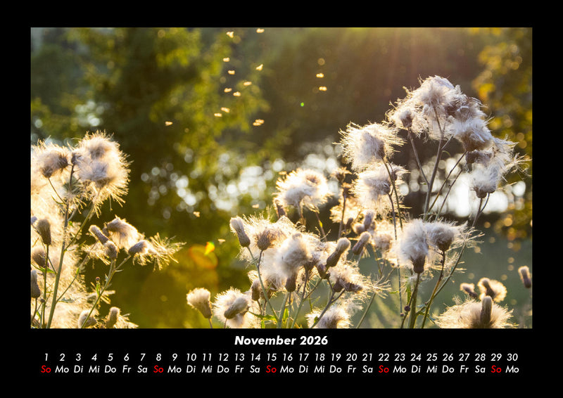 Bilder aus der Natur Fotokalender 2026 - 11