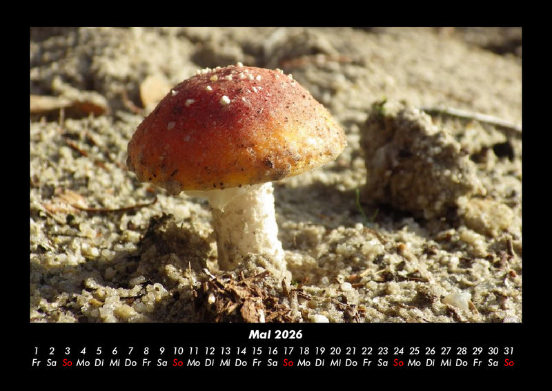 Bilder aus der Natur Fotokalender 2026 - 5