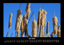 Bilder aus der Natur Fotokalender 2026 - 6