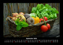 Gemüsekalender Fotokalender 2026 - 9