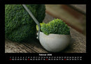 Gemüsekalender Fotokalender 2026 - 2