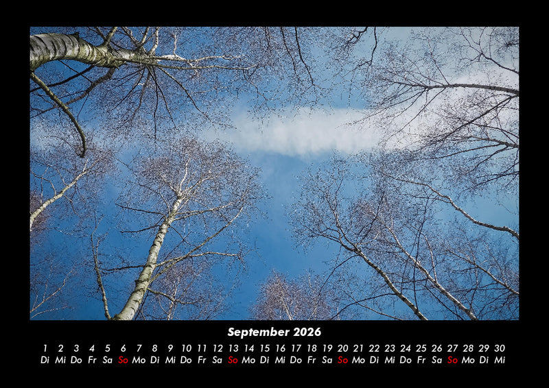 Bäume Fotokalender 2026 - 9