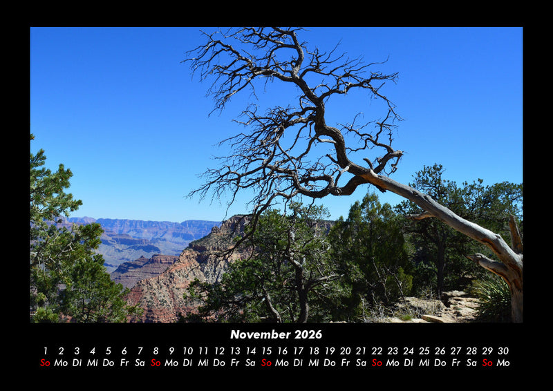 Bäume Fotokalender 2026 - 11