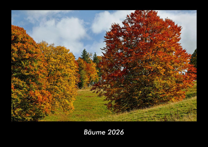 Bäume Fotokalender 2026 - Hauptbild