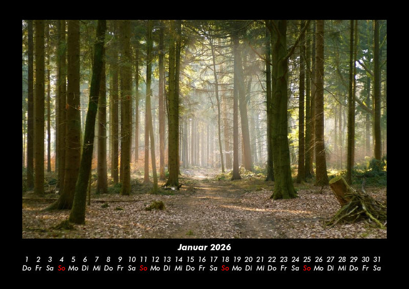 Bäume Fotokalender 2026 - 1