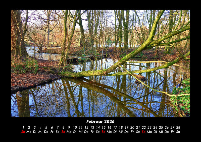 Bäume Fotokalender 2026 - 2