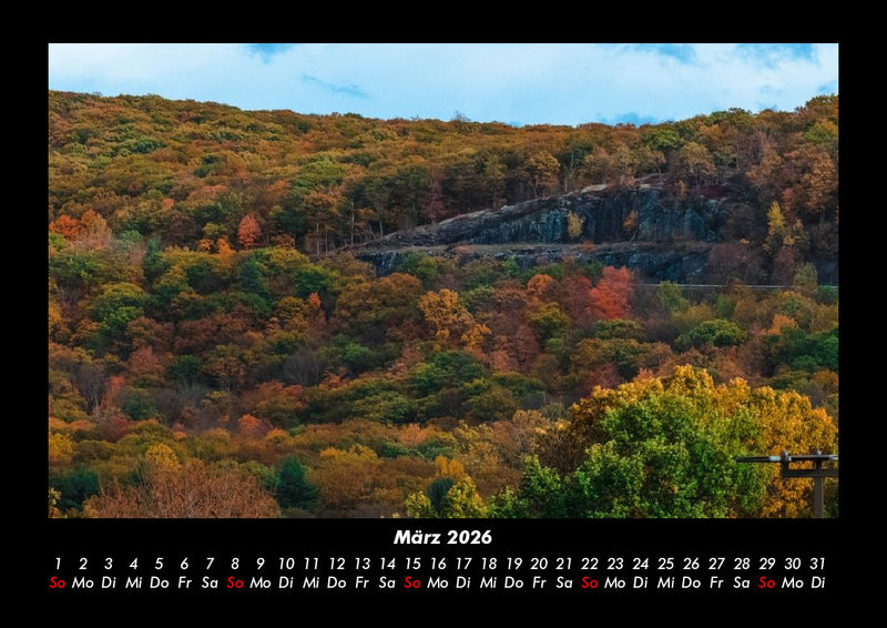 Bäume Fotokalender 2026 - 3