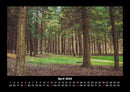 Bäume Fotokalender 2026 - 4