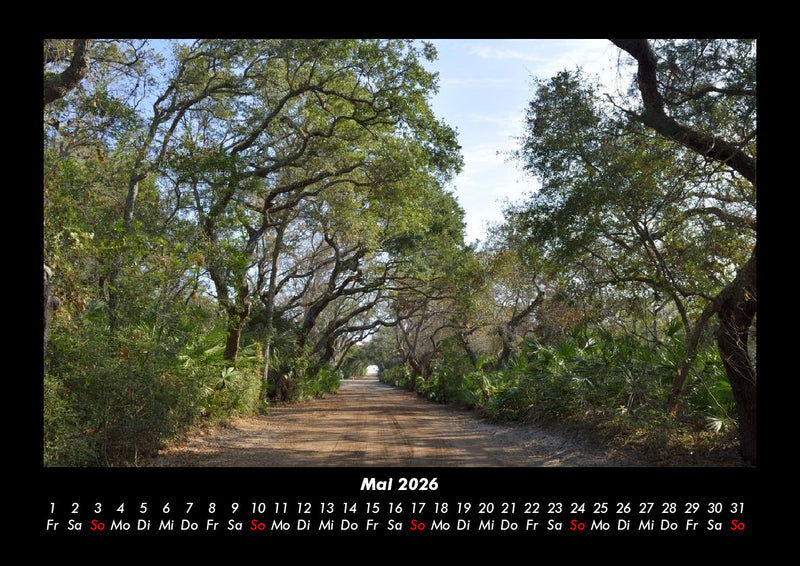 Bäume Fotokalender 2026 - 5