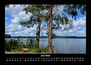 Bäume Fotokalender 2026 - 6