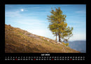 Bäume Fotokalender 2026 - 7