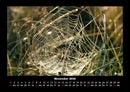 Natur Fotokalender 2026 - 11