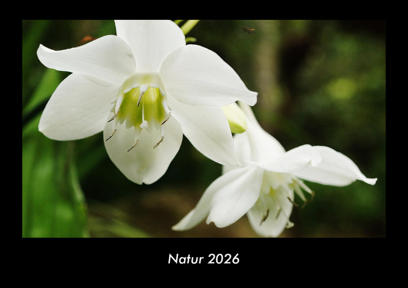 Natur Fotokalender 2026 - Hauptbild