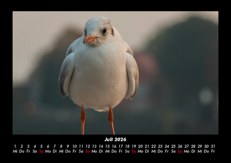 Hamburg Fotokalender 2026 - 7