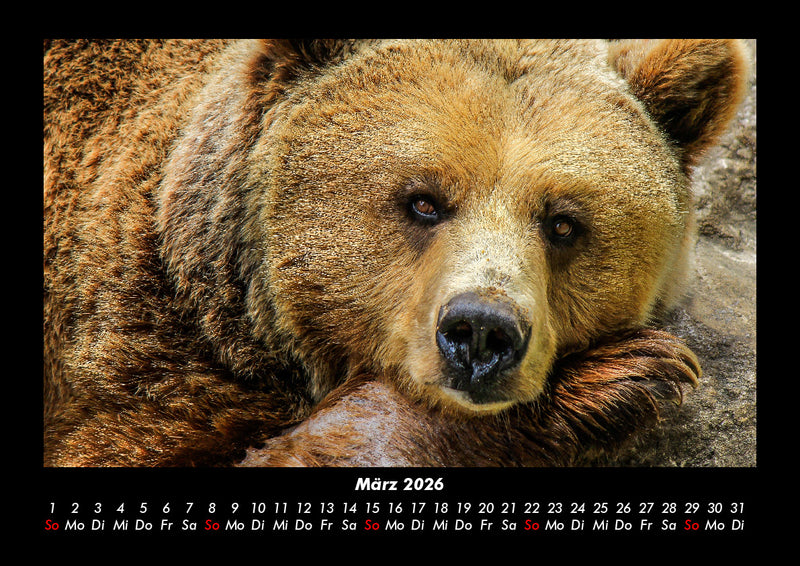 Der Tierkalender Fotokalender 2026 - 3