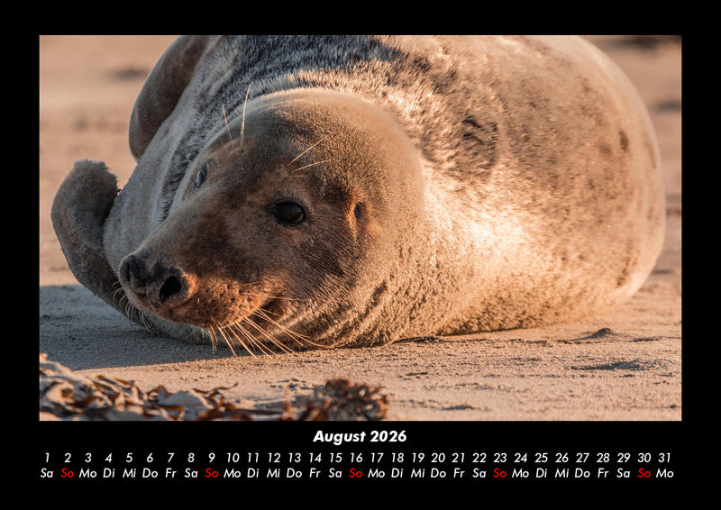 Der Tierkalender Fotokalender 2026 - 8