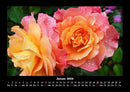 Rosentraum Fotokalender 2026 - 1