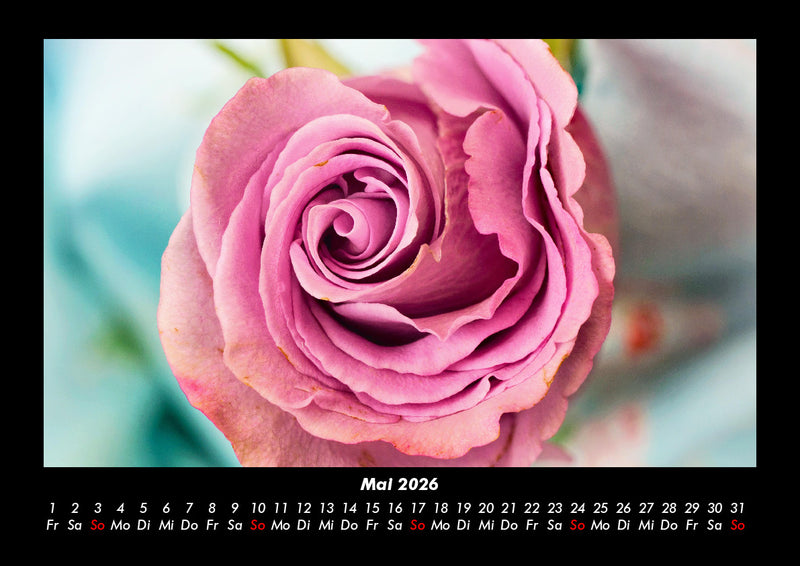 Rosentraum Fotokalender 2026 - 5