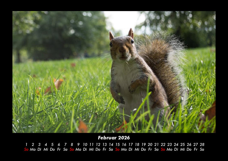 London Fotokalender 2026 - 2
