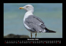 Vogelparadies Fotokalender 2026 - 11