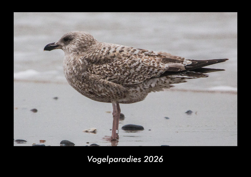 Vogelparadies Fotokalender 2026 - Hauptbild